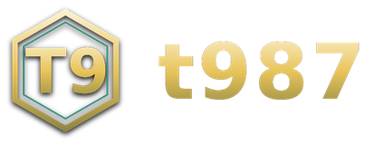t987 logo